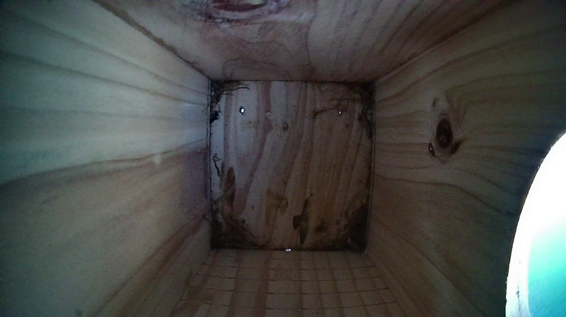 Nestbox image
