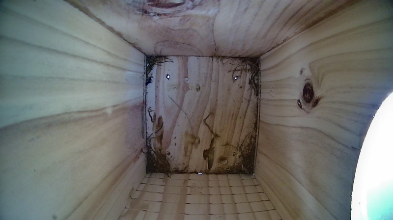 Nestbox image