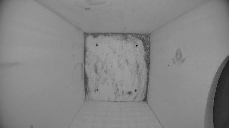 Latest nestbox image